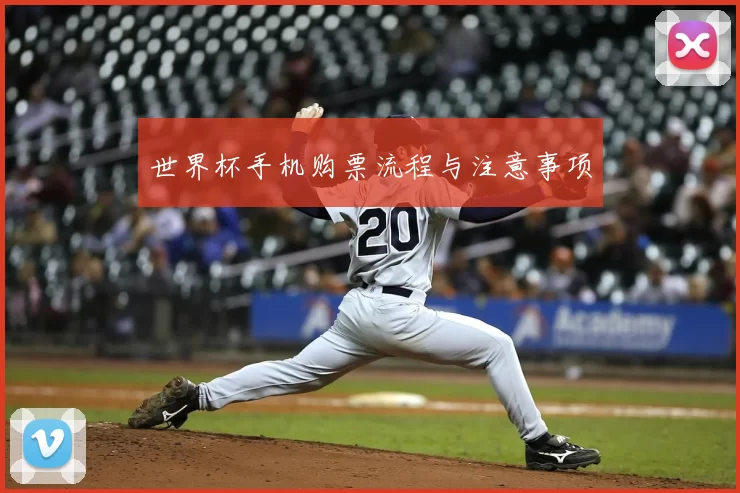 世界杯手机购票流程与注意事项