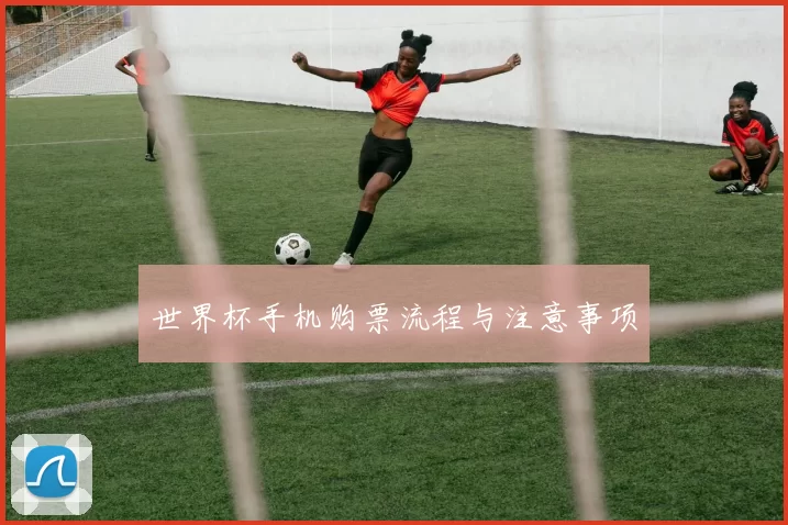 世界杯手机购票流程与注意事项