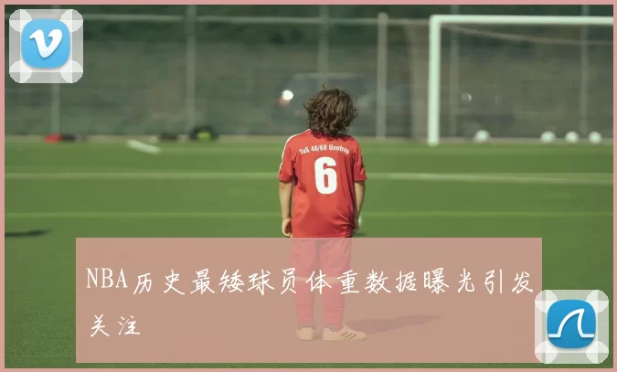 NBA历史最矮球员体重数据曝光引发关注