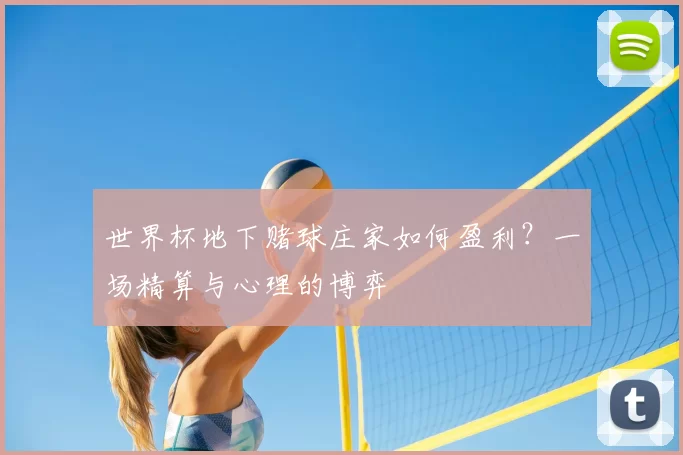 世界杯地下赌球庄家如何盈利？一场精算与心理的博弈