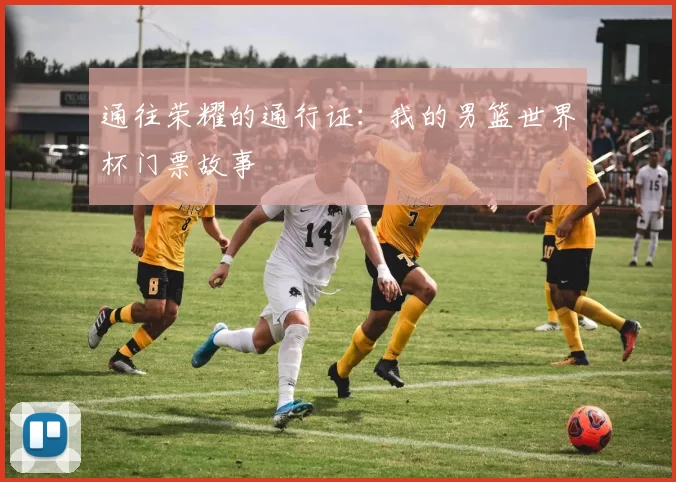 通往荣耀的通行证：我的男篮世界杯门票故事