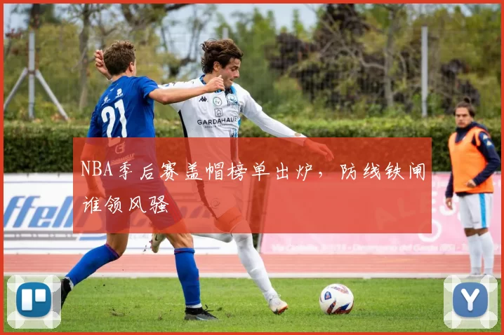 NBA季后赛盖帽榜单出炉，防线铁闸谁领风骚
