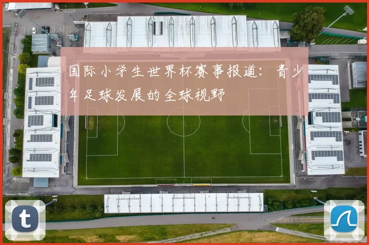 国际小学生世界杯赛事报道:青少年足球发展的全球视野