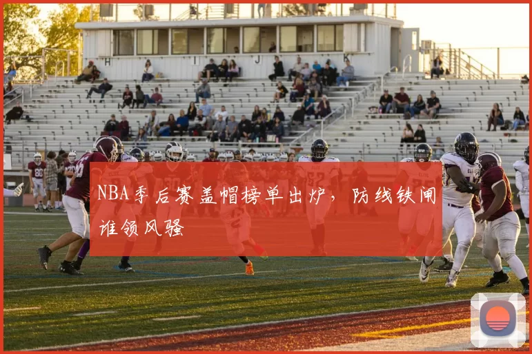 NBA季后赛盖帽榜单出炉，防线铁闸谁领风骚