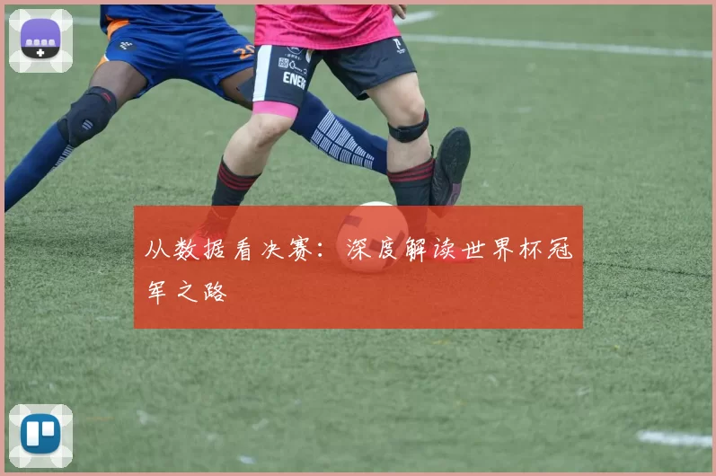 从数据看决赛:深度解读世界杯冠军之路