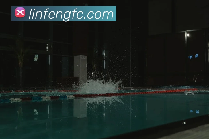 多媒体互动体验